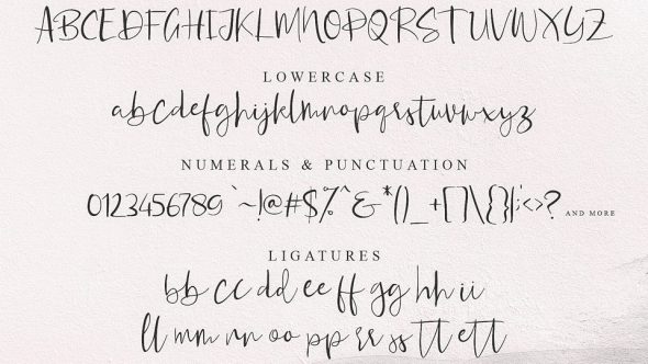 Rossetta Script Font › Fontesk