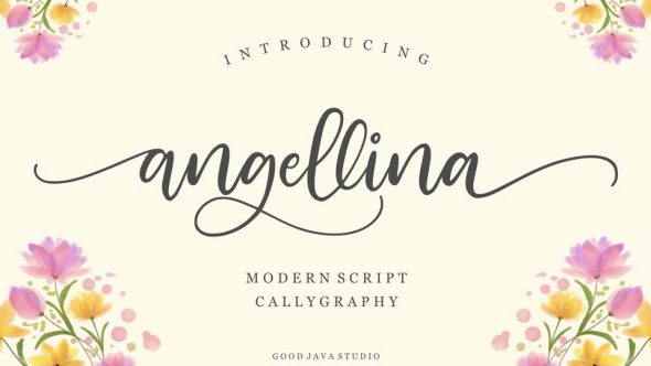 Angellina Script Font › Fontesk