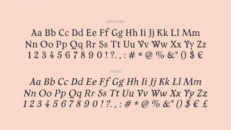 Typey McTypeface Font Family › Fontesk