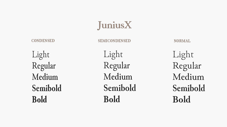 juniusx-2
