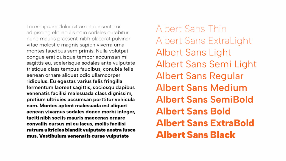 Albert Sans Font Family › Fontesk