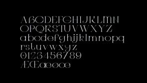 C4 Type Font › Fontesk