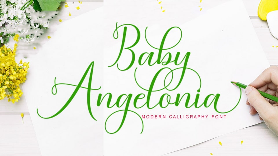 baby_angelonia-1