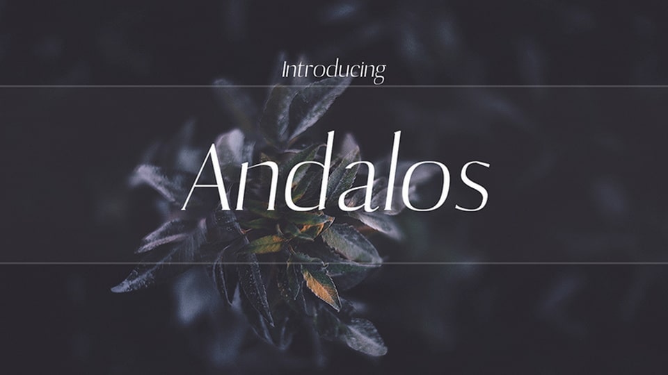 andalos-1