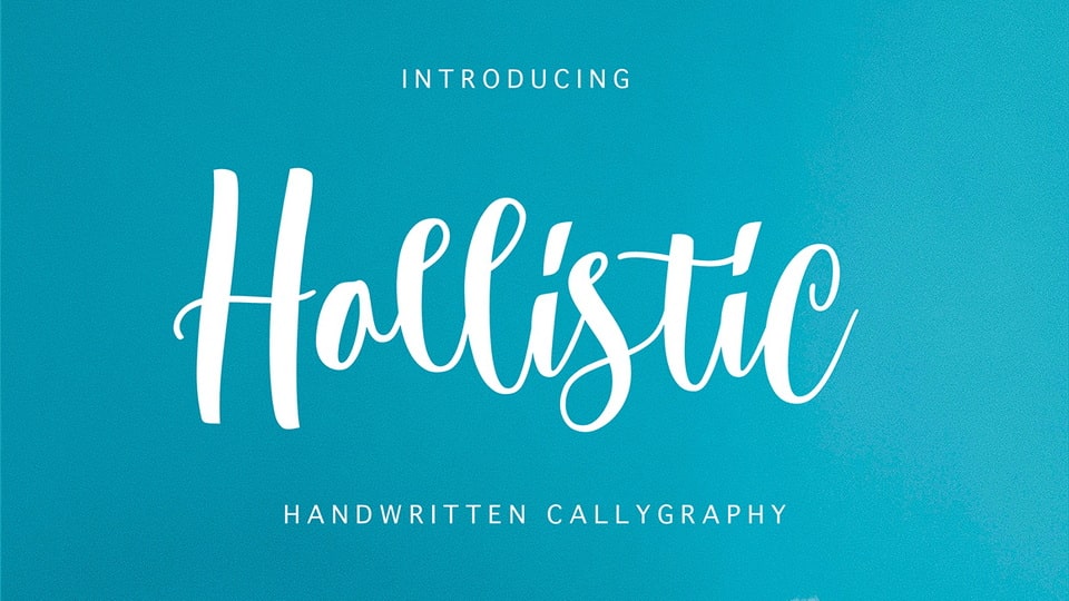 hollistic-1