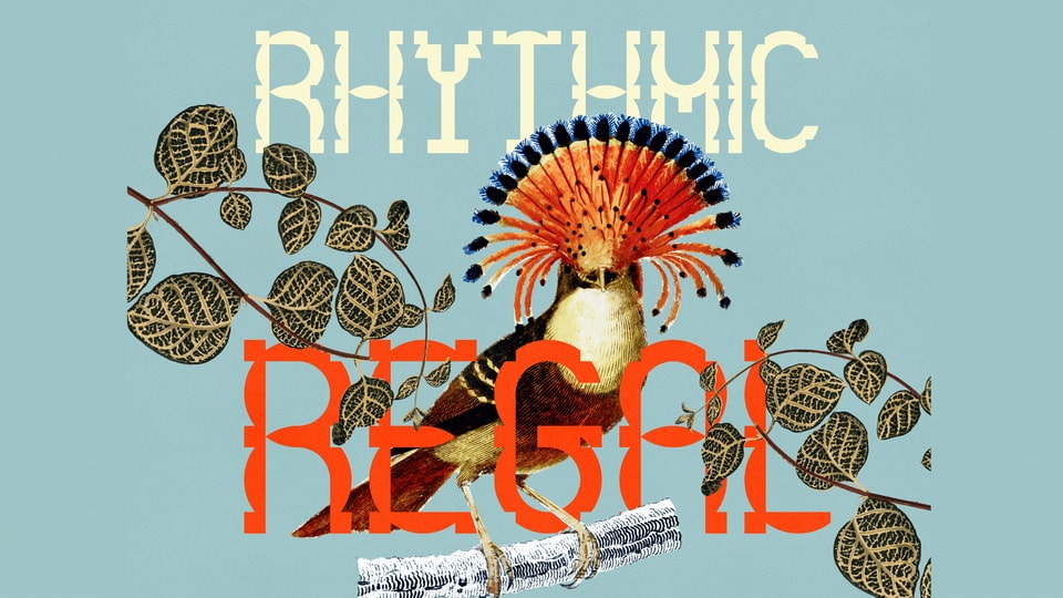 rhythmic_regal-2