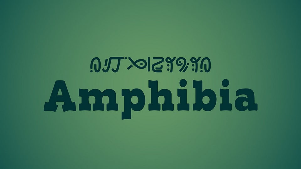 amphibia-3