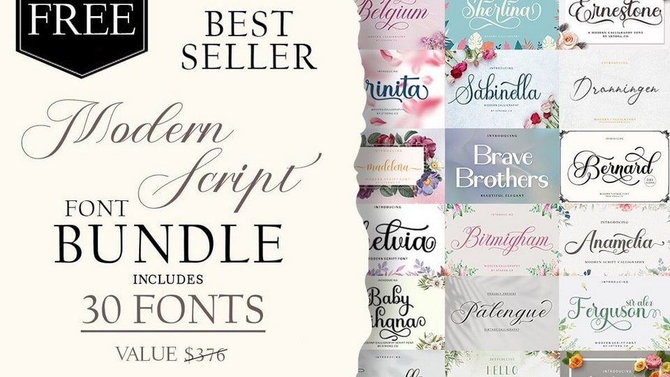 2024-11-19-Modern-Script-Font-Bundle-min