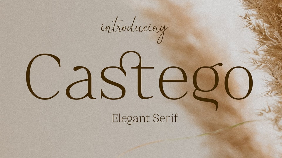 castego-1