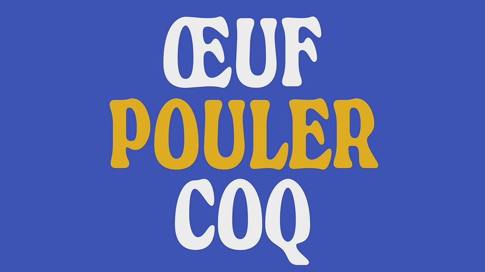 pouler-2