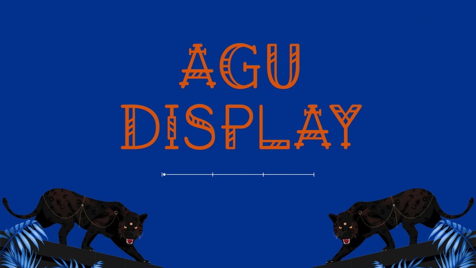 agu_display-2