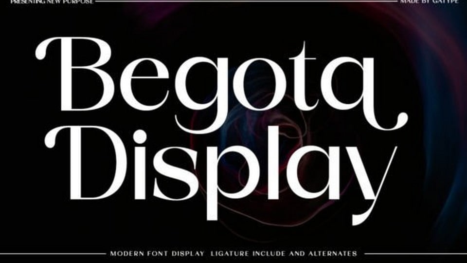 begota_display-1