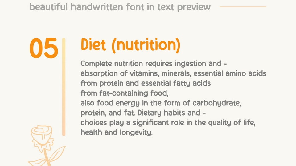 handineat-4