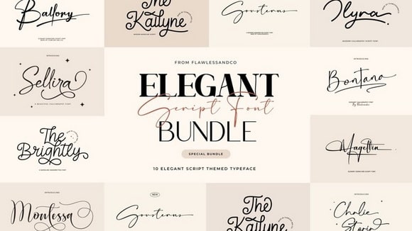 preview-bundles4-01-7739fe8354171049197c13e2c559f12ab2ad5bca4e7e5e34baec7b0f7b8e4437 (2)-min