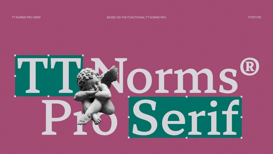 tt_norms_pro_serif-11