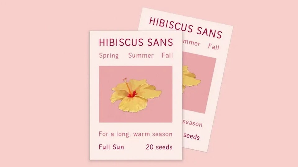 hibiscus_sans-2