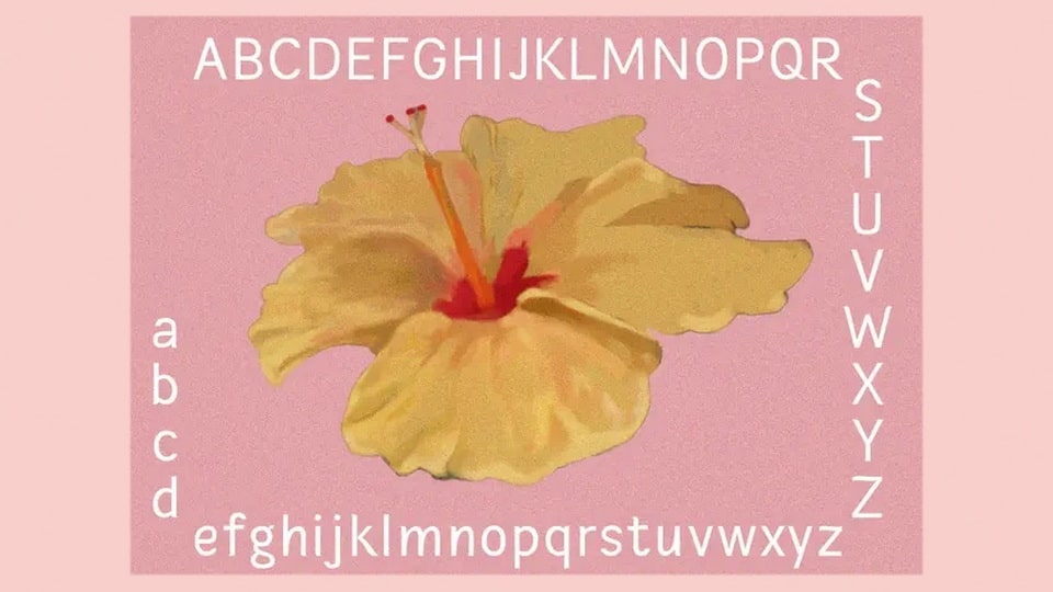 hibiscus_sans-3