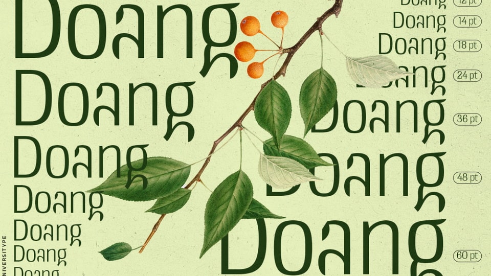 doangs-5