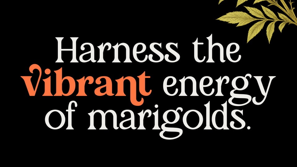 marigold_magic-2