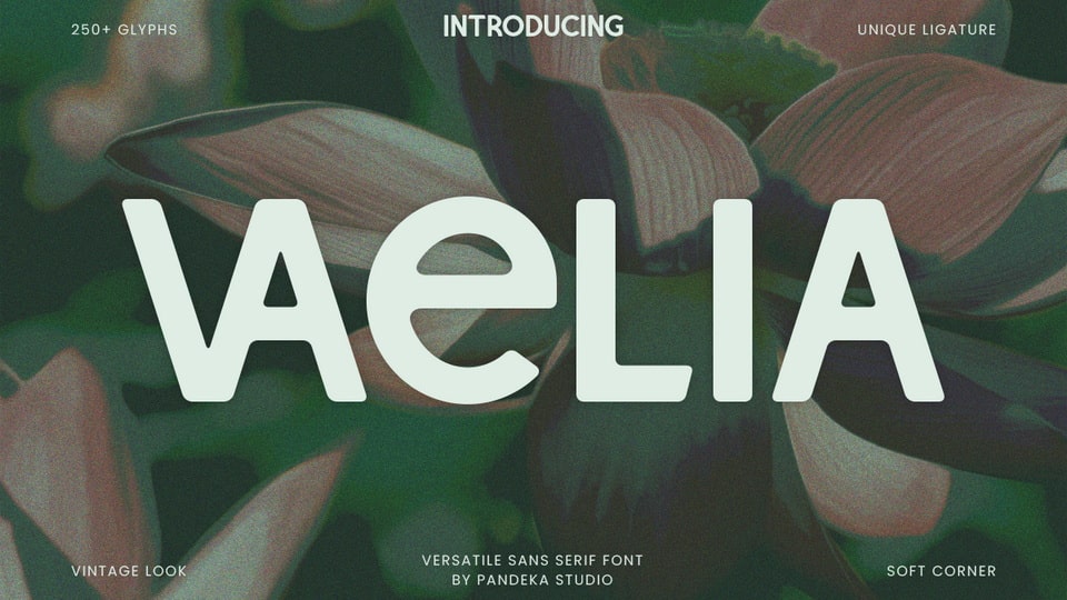 vaelia-1